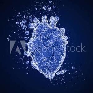 Meet your Posher, Ramiro